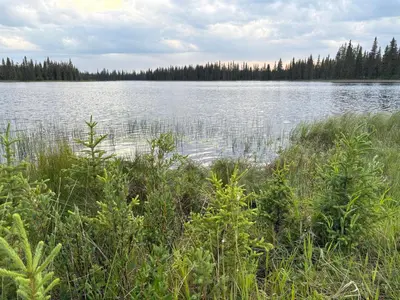 a large body of water with trees in the background at Taylor Lake Resort BC in Lone Butte