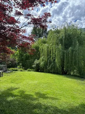 Gallery image of Bright, Spacious Home with Lake & Mountain Views, Walk to Beach in Nelson