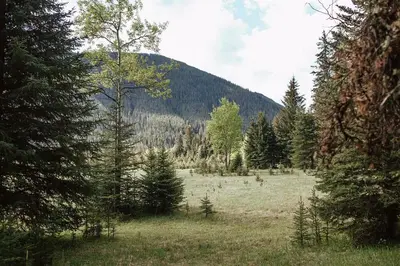 a field with trees and a mountain in the background at Off-Grid Mountain Lodge & 4 Cabins - Sauna, Hot Tub & Fishing in Rock Lake Provincial Park