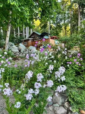 a garden with purple and white flowers and a house at Charming Lakefront 100yr old Railway Cottage in Youbou