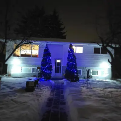 a house with a blue christmas tree in the snow at Dream house in Edmonton