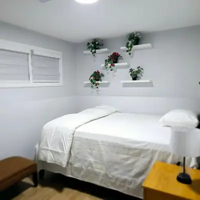 Dream house