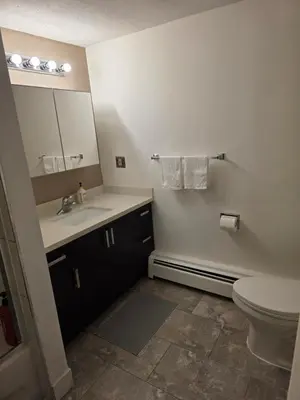 a bathroom with a sink and a toilet and a mirror at Maplewood Hostel in Vancouver