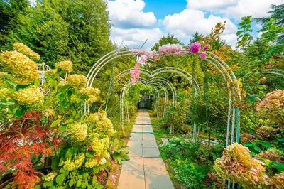 an archway in a garden filled with flowers at Dreamy Garden Arch Spot Cozy 3Bedroom Villa near the Beach in Surrey