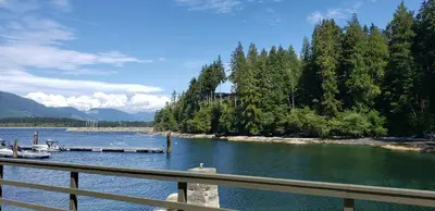 a view of a river with a dock and trees at A Shack In The Woods in Port Renfrew
