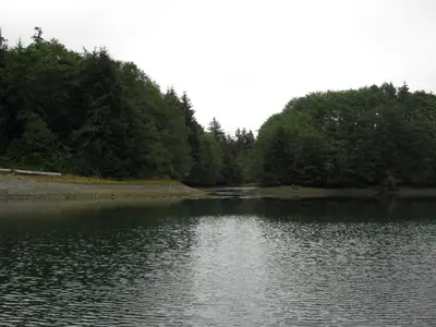 a large body of water with trees in the background at A Shack In The Woods in Port Renfrew