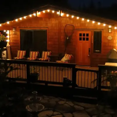 A Shack In The Woods