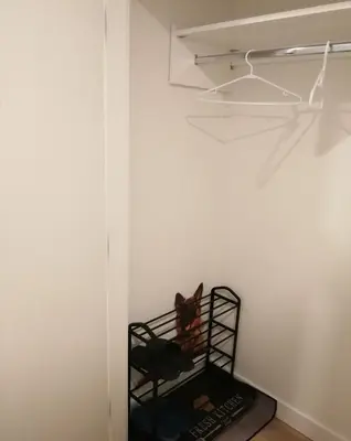a cat sitting in a cage in a room at New condo Great amenities Near Skytrain in Coquitlam