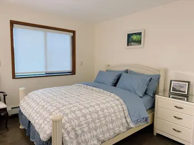 a bedroom with a bed with blue pillows and a window at Sunshine garden 5 bedrooms2 living rooms3 bathrooms1 kitchen in Aldergrove