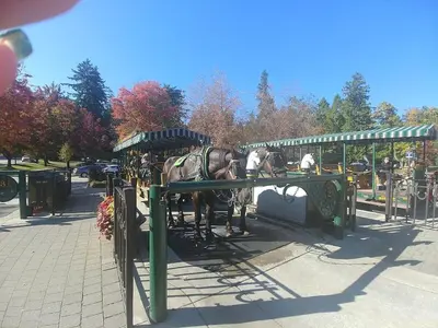 a horse drawn carriage in a park at Downtown,FreeParking,Pool,Comfy,OceanMontain View in Vancouver