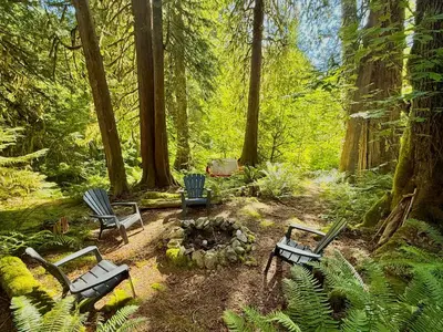 three chairs and a fire pit in a forest at Eagles Nest - epic blufftop cabin Squamish in Upper Squamish