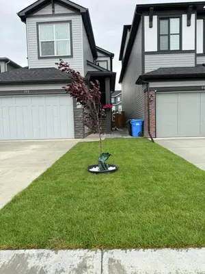 Gallery image of Super house in Calgary