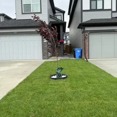 Super house