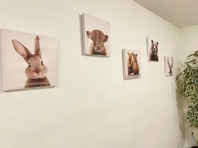 a wall with pictures of a rabbit and a dog at Modern Cozy Entire Guest Suite in Central Edmonton in Edmonton