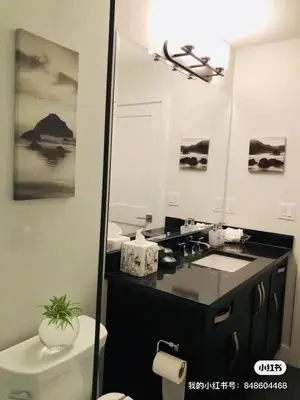 a bathroom with a sink and a toilet and a mirror at Carrie The Gentle Nest 1 in Coquitlam