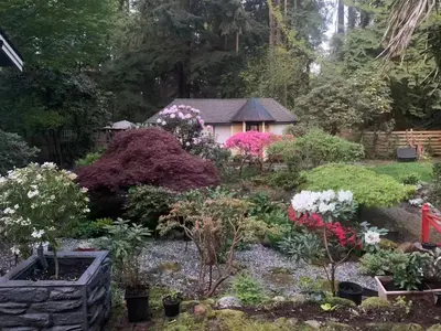 a garden with many different types of plants at Quiet Backyard Cabin in North Vancouver