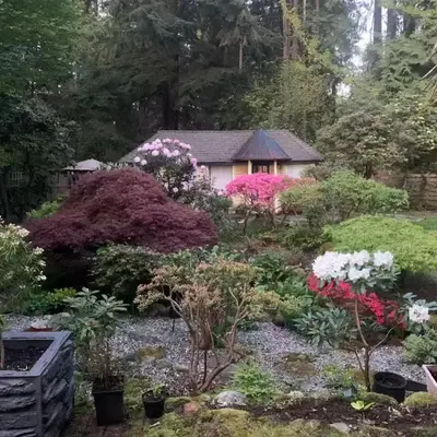 Quiet Backyard Cabin