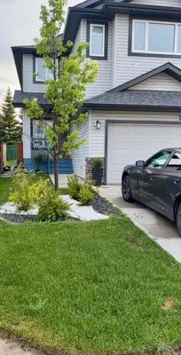a green car parked in front of a house at Lucas in Edmonton