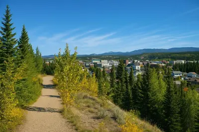 a dirt trail with a city in the background at Bright Downtown Room Walk Everywhere Aurora Nearby in Whitehorse