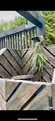 two pictures of a wooden bench with a net at Fern's Edge in Port Renfrew