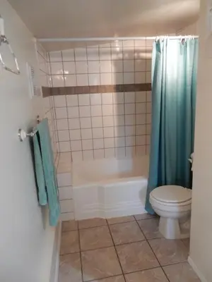 a bathroom with a shower and a toilet and a tub at Beach front cabin near Nelson, BC in Nelson