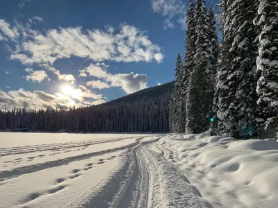 a snow covered field with footprints in the snow with trees at Chancellor Peak 1BR and Loft Wooden Cabin near Lake Louise in Golden