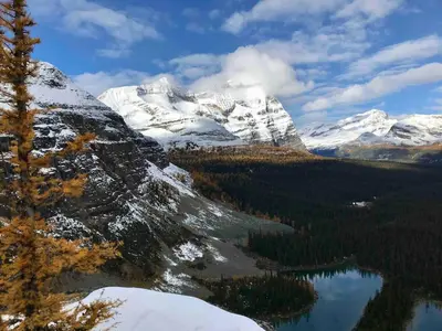 a view of a snow covered mountain with a lake at Chancellor Peak 1BR and Loft Wooden Cabin near Lake Louise in Golden