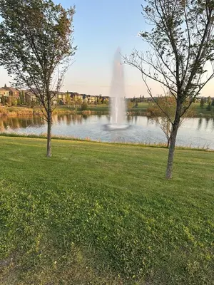 a fountain in the middle of a lake with trees at Peaceful Haven in Prime Location in Calgary
