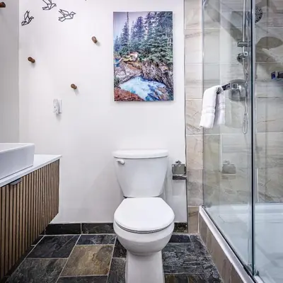 a bathroom with a toilet and a shower at Westwinds - Funky Basecamp in the Rockies in Canmore