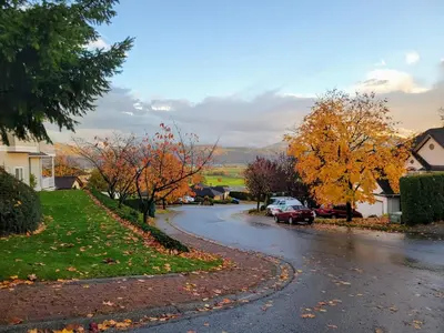 a winding road in a residential neighborhood with autumn trees at Beautiful Mountain Retreat with a View in Abbotsford