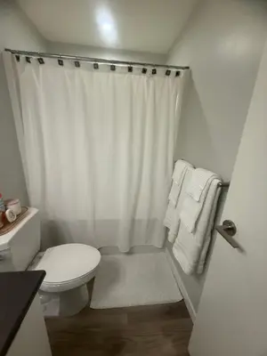 a bathroom with a white shower curtain and a toilet at Mollies Alpha in Langford