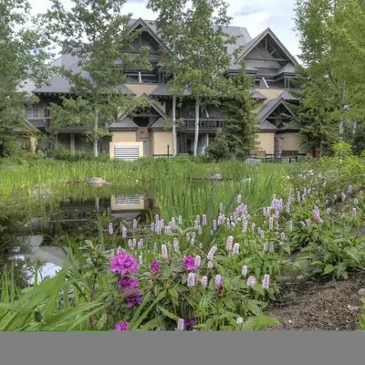 The Lagoons 72