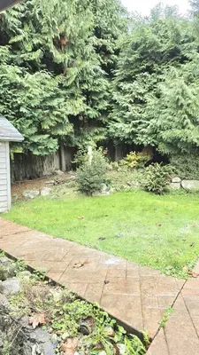 a backyard with a yard with trees and a sidewalk at Spacious & Cozy House Near Lonsdale, Peaceful North Vancouver Stay in North Vancouver