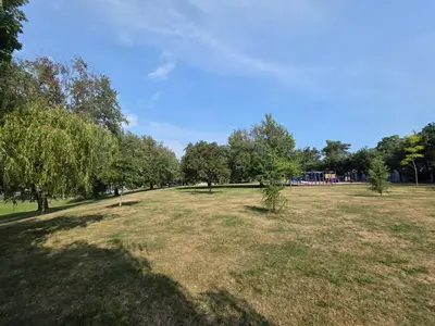 a large grass field with trees in the background at Newly Renovated Cozy Guest House In Joyce-Collingwood in Vancouver