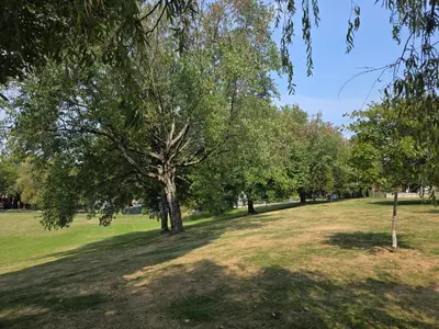 a park with trees and a grass field at Newly Renovated Cozy Guest House In Joyce-Collingwood in Vancouver