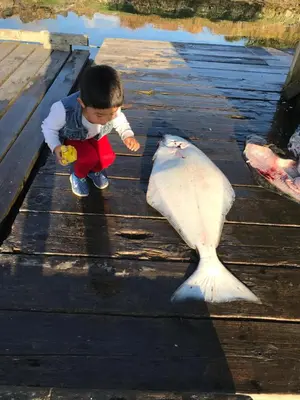 a young child looking at a large fish on a dock at Island West Resort-Motel in Ucluelet