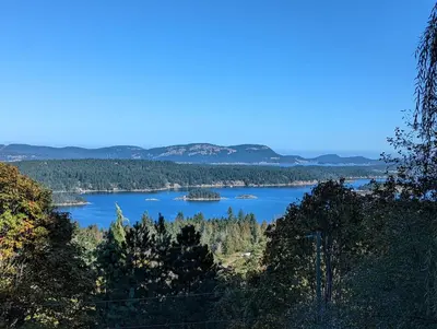 a view of a lake with trees and mountains at The Mushroom Manor B&B and Cedar Sauna in Salt Spring Island