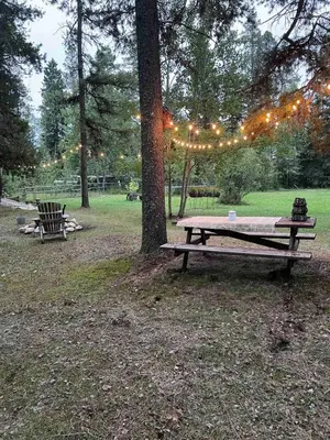 a picnic table sitting next to a tree with lights at Cozy Country Log Cabin Art Spa Getaway in Caroline