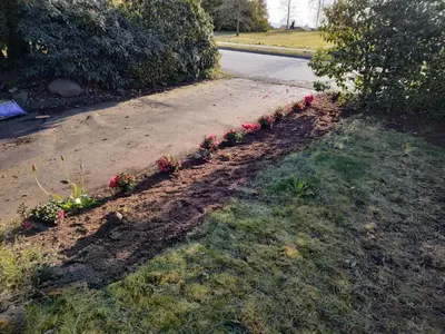 a row of flowers in a garden next to a road at Renovated North Vancouver Gem in North Vancouver