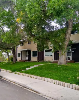a house with a tree in front of it at UofA Bike Lane-Train-Bus- Southgate Mall, Cental in Edmonton