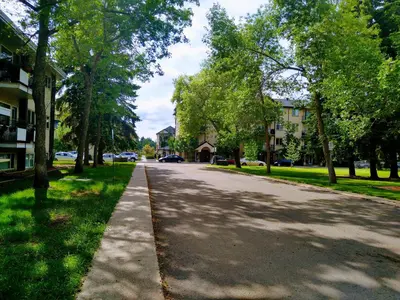 a tree lined street in a residential neighborhood at UofA Bike Lane-Train-Bus- Southgate Mall, Cental in Edmonton