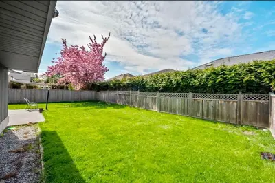 a yard with a fence and a flowering tree at Bright Maple Suite in Richmond