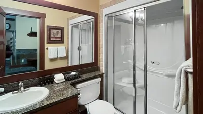 a bathroom with a shower and a toilet and a sink at Stonegate Resort Unit C403 in Big White