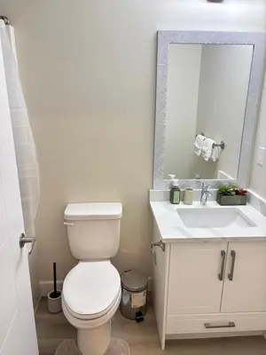 a bathroom with a toilet and a sink and a mirror at Prince George Cozy Suite in Prince George