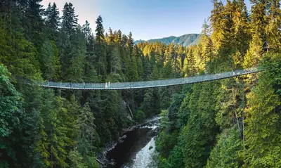 a suspension bridge over a river in a forest at Lynn Valley 2BR Suite By Grouse Mtn & Lynn Canyon in North Vancouver