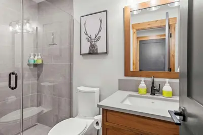 a bathroom with a toilet and a sink and a shower at Creekside Cove in Spring Creek in Canmore