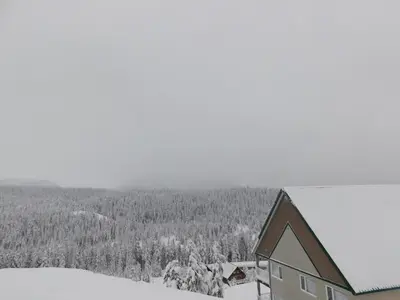 a house in the snow with a view of a forest at Drive Up Condo - Walk to Mount Washington in Mount Washington