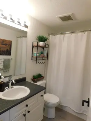 a bathroom with a sink and a toilet with a shower curtain at Drive Up Condo - Walk to Mount Washington in Mount Washington