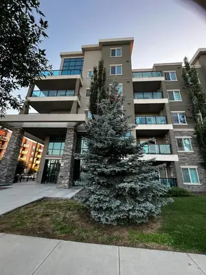 a christmas tree in front of a building at Peaceful Condo for Short and Long Term Rental in Edmonton