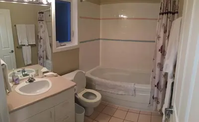 a bathroom with a sink and a toilet and a tub at Tanglewood 19 in Parksville